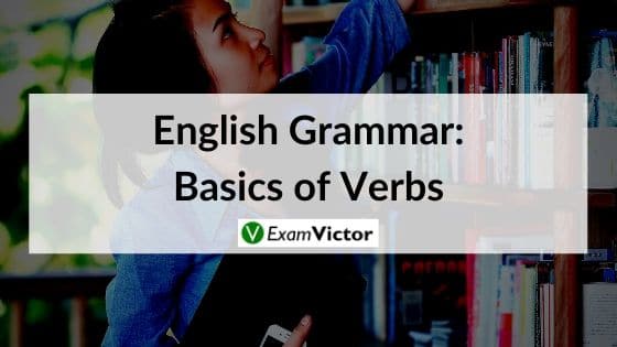 English Grammar: Basics of Verbs